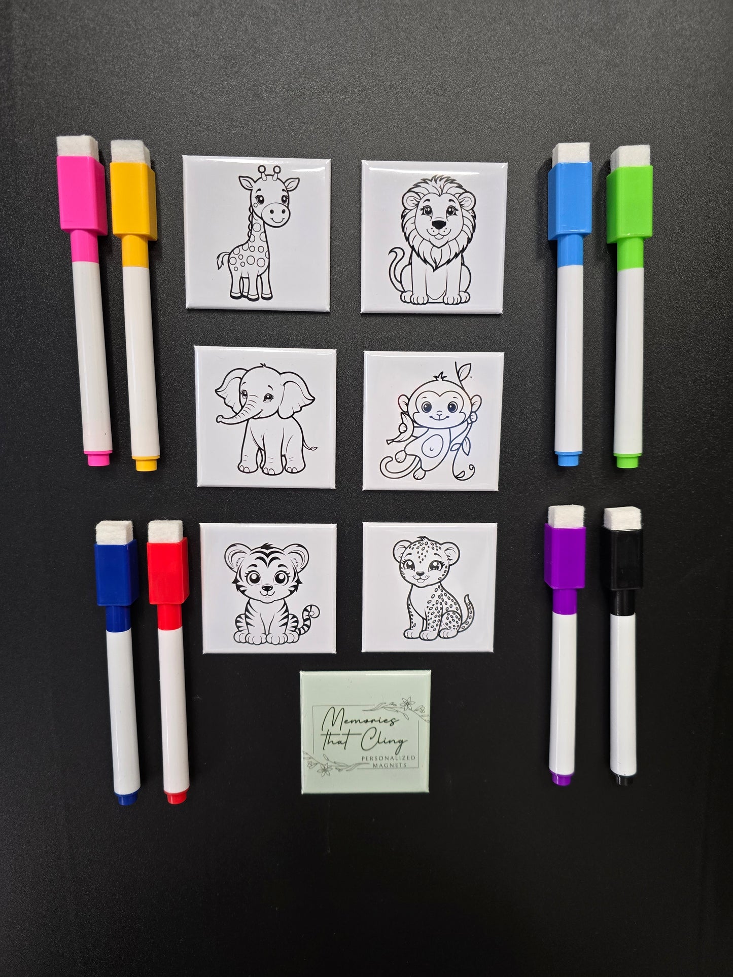 Zoo Animals Dry Erase Magents (Set of 6)