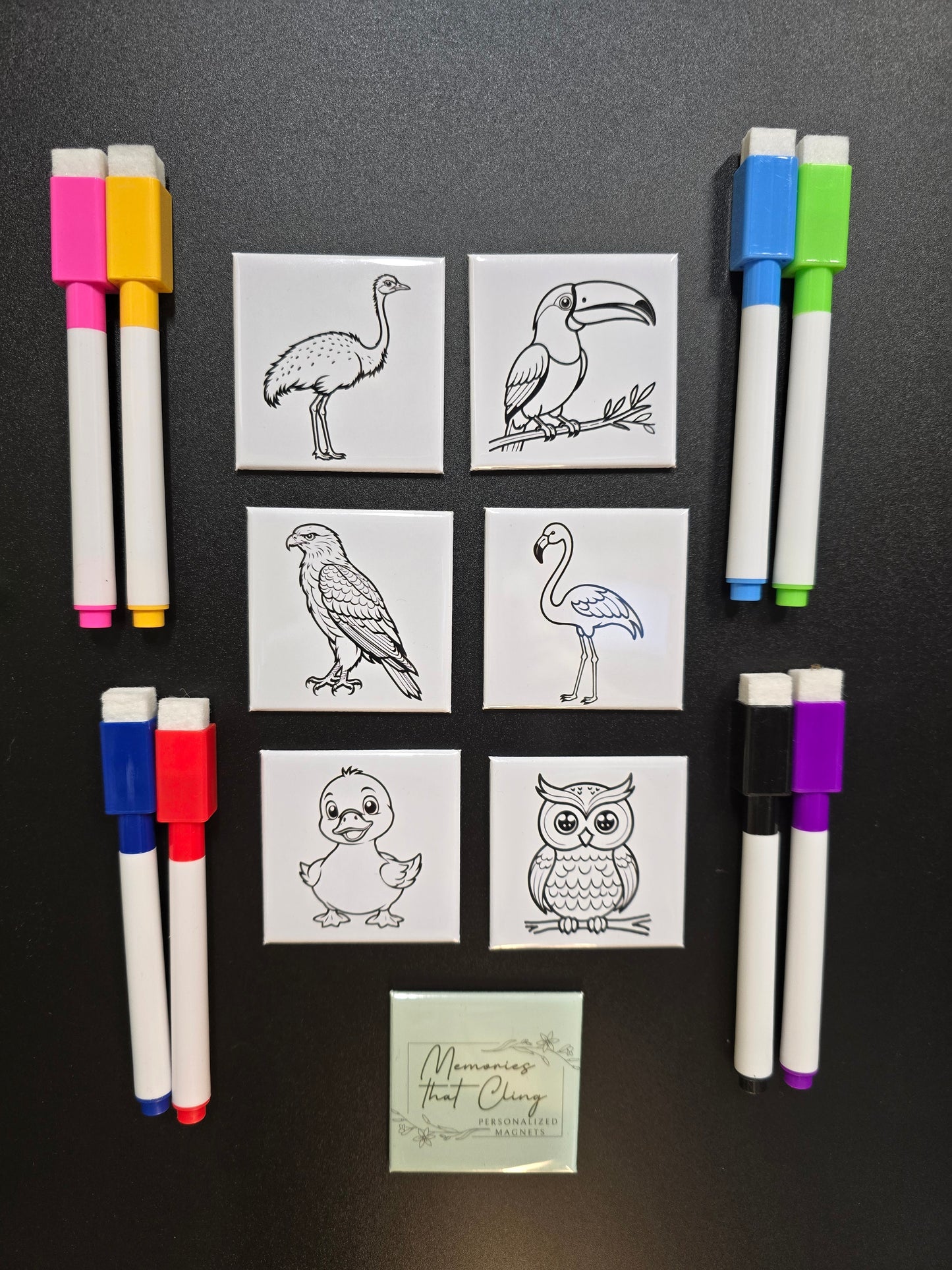 Bird Dry Erase Magents (Set of 6)